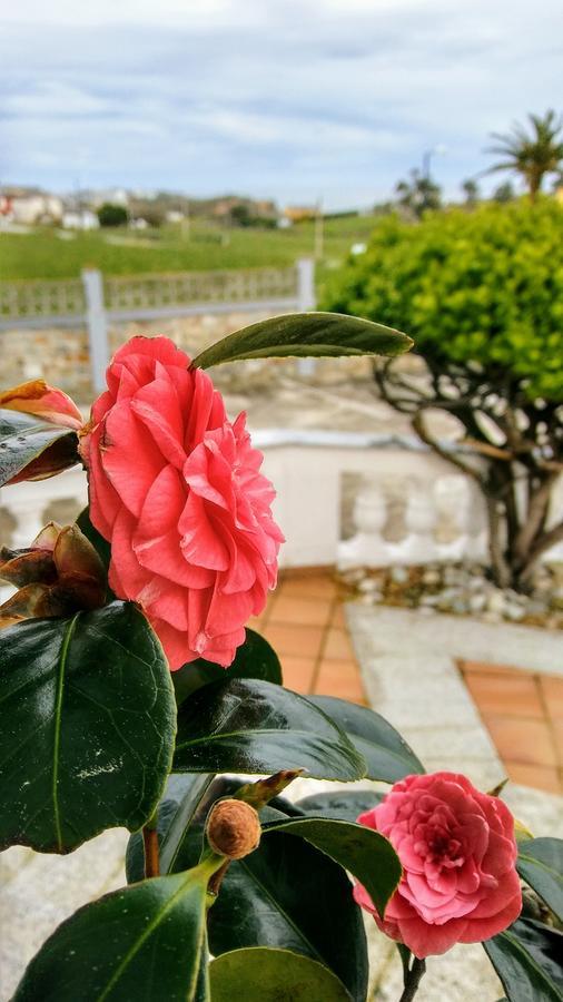 Hotel El Panorama Tapia De Casariego Ngoại thất bức ảnh