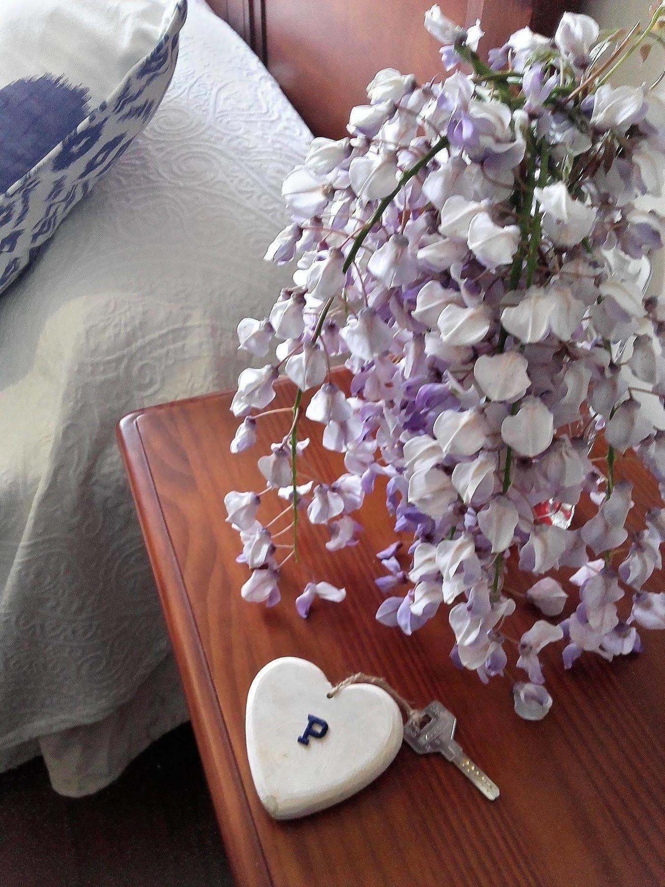 Hotel El Panorama Tapia De Casariego Ngoại thất bức ảnh